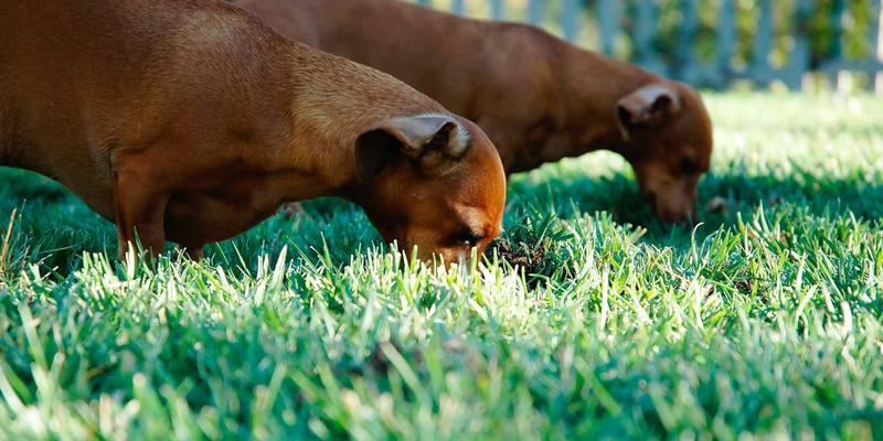 51法律网：律师在线与法律文书服务，打造触手可及的专业法律支持