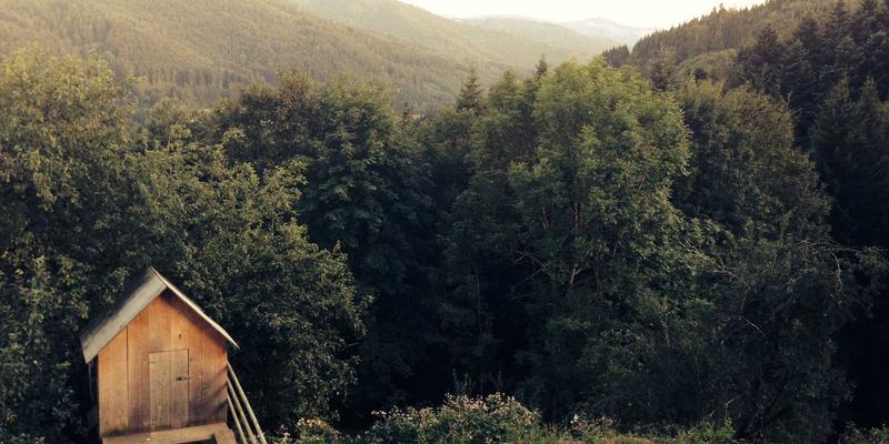 AIGC著作权归属迷雾：为何您需要专业的法律顾问与在线律师服务