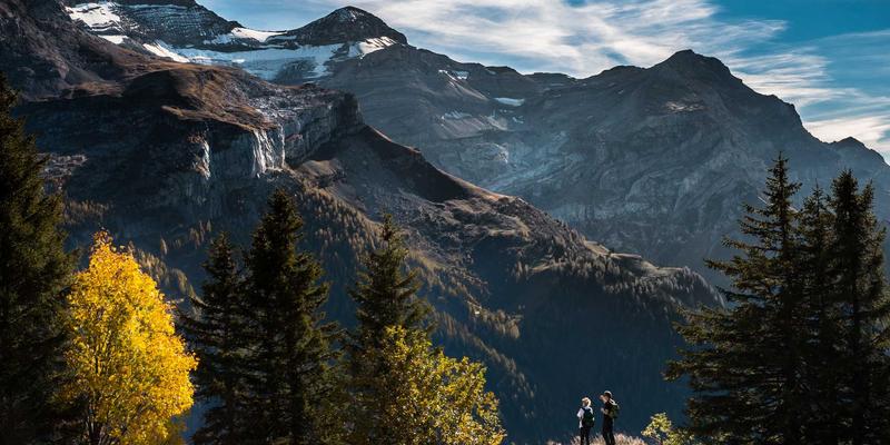 VIE架构合规性深度解析：境内企业境外上市的法律路径选择与风险防范