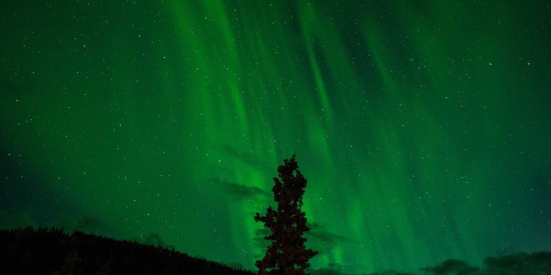 从法律咨询到战略护航：现代企业如何通过专业法律顾问与在线服务实现风险防控