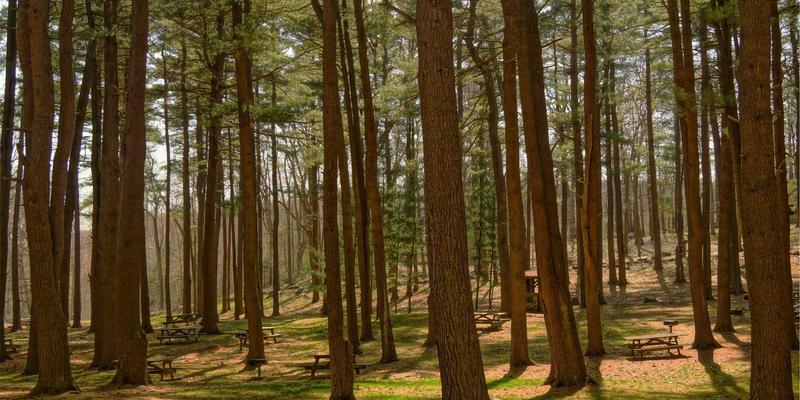 劳动争议实务难点解析：加班费计算基数与举证责任如何分配？法律顾问为您支招