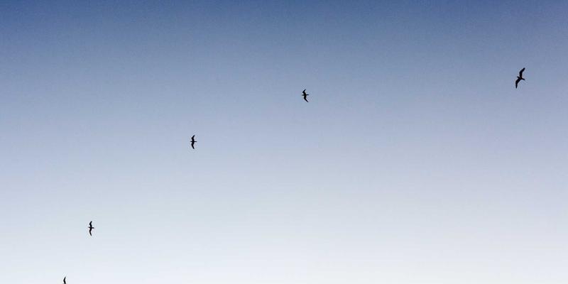 医疗美容行业法律风险全解析：在线律师教你规避广告合规、知情同意与纠纷处理三大雷区