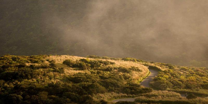 在线律师如何重塑现代法律服务：解决法律问题的新范式