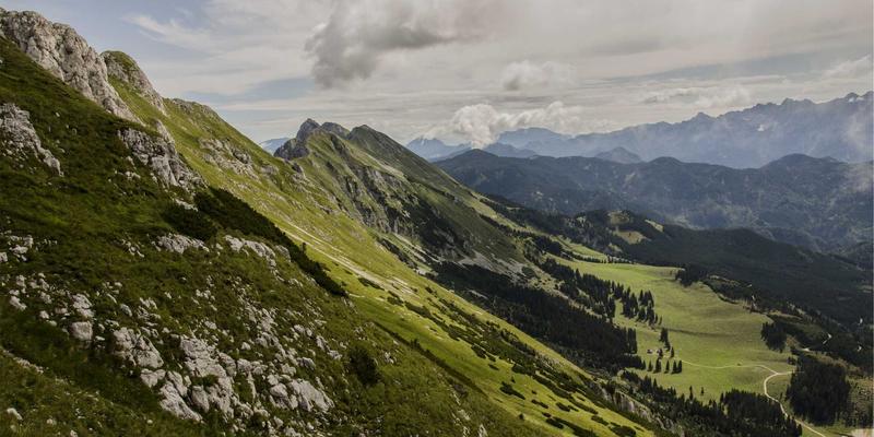法律咨询85:如何通过专业法律服务与51法律网找到您的理想法律顾问