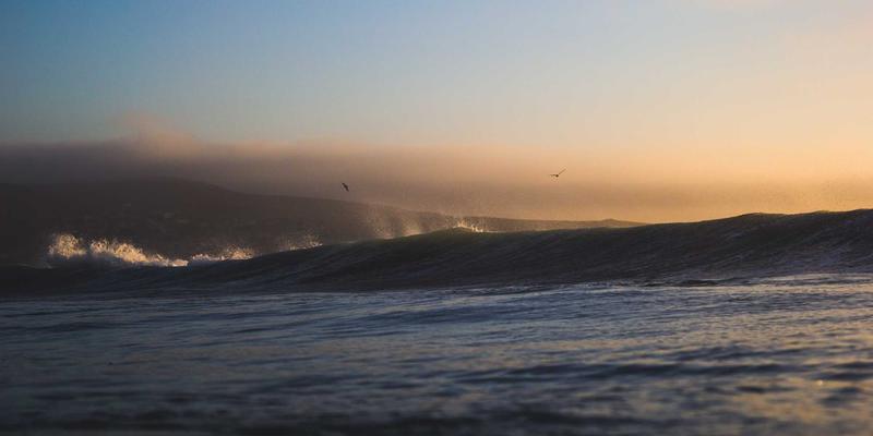 法律咨询新时代：在线律师如何高效处理法律文书？