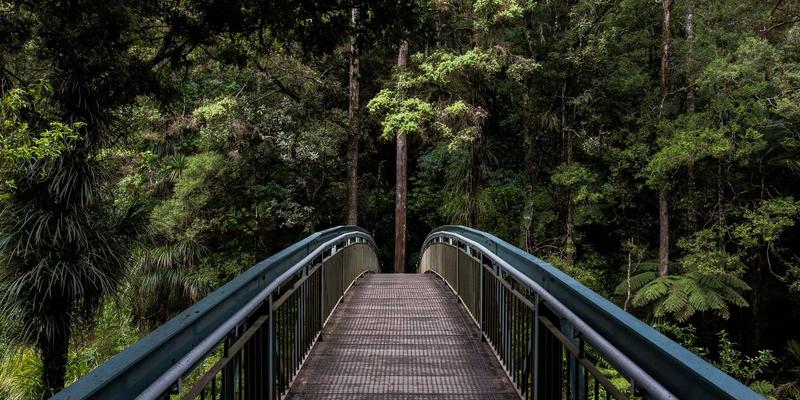 法律顾问与律师在线：一站式解决您的法律咨询需求