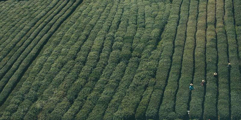 涉外婚姻家事难题如何解？在线律师详解财产分割、子女抚养与判决承认执行