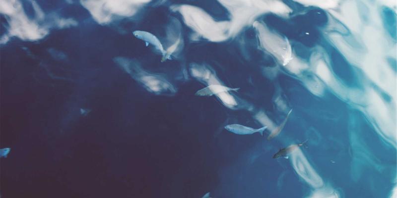 破产重组法律咨询指南：企业申请条件、债权人会议权利与资产重组方案解析 | 51法律网律师在线