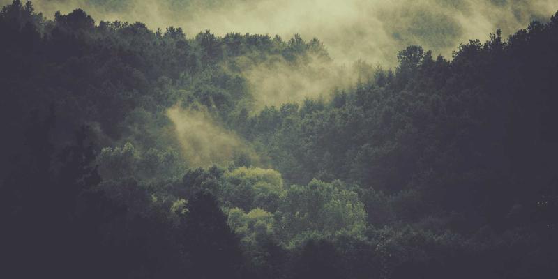 私募基金募集与投资法律尽职调查要点解析：规避法律问题，善用法律文书与顾问