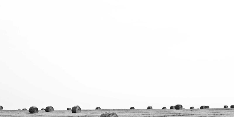 网络侵权如何维权？专业法律顾问详解证据收集与在线法律服务